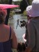 Trapeze over the Petaluma River