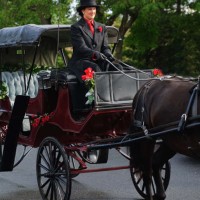 Pinewood Stables Carriage Service - Event Services in Casper, Wyoming