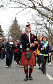 Piper Dave