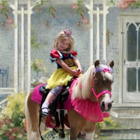 Ponies 4 Parties - Pony Party in Anaheim, California