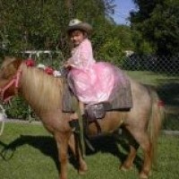 Pony Express Pony Rides - Unique & Specialty in Laredo, Texas