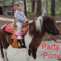 Pony Rides - Petting Zoos for Parties in Valdosta, Georgia