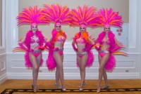 Premier Showgirls-Vegas Showgirls for hire