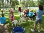 Petting Zoo
