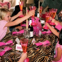 Pretty Royalty Parties - Event Planner in Harrison, New York