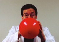 Professor Steve