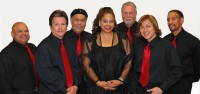 Project Groove - Disco Band in San Francisco, California