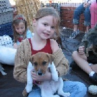 Puppies and Reptiles for Parties - Pony Party in Anaheim, California