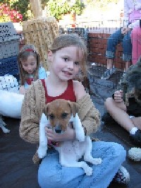 Puppy for Me