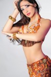 Belly dancer Belly dancer