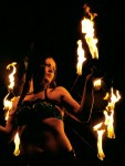 Fire Wings and Palm Torches Fire Wings and Palm Torches