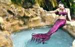 Mermaid Entertainment Mermaid Entertainment