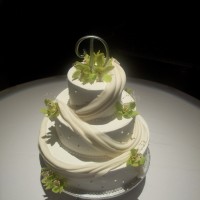 QT Cakes - Cake Decorator in Sioux Falls, South Dakota