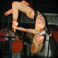 Queen City Aerial Artists - Circus & Acrobatic in Asheville, North Carolina