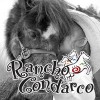 Rancho Condarco LLC