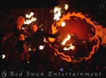 Bodhi dragon plus gigi Bodhi dragon plus gigi
