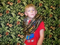 Renos Reptiles