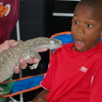 Reptile Adventure - Children's Party Entertainment in Mechanicsville, Virginia