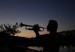 silouette