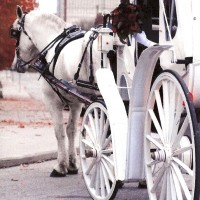 Rosewood Carriage Rides - Horse Drawn Carriage in Fort Wayne, Indiana