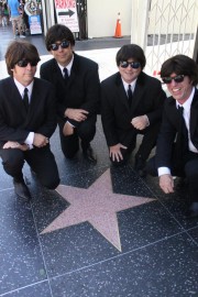 The Hollywood Beetles