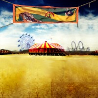 Picklewater Circus Center - Traveling Circus in Bellevue, Washington