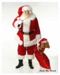 Santa Ron w/bag