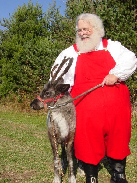 Santa and Reindeer