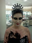 Black Swan Black Swan
