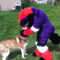 Scribbles the wolf - Children's Party Entertainment in Machesney Park, Illinois