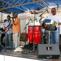 Sensory Expressions - Steel Drum Player in Burlington, North Carolina