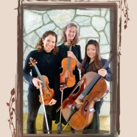 SerenaStrings - Classical Music in Pendleton, Oregon