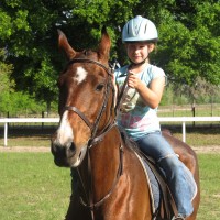 Serenity Stables LLC - Reptile Show in St Petersburg, Florida