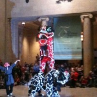 Shaolin Lohan Pai Lion Dance Troupe - Pony Party in Ballwin, Missouri