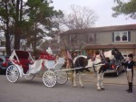 Princess Carriage