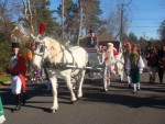 Princess Carriage