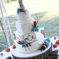 Southern Event Solutions - Cake Decorator in Greensboro, North Carolina