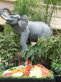 Spectacular Catering profile picture