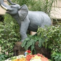 Spectacular Catering - Caterer in West Covina, California