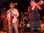 Squeeze Box Brass