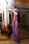 Stilt Walker Stilt Walker