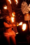 Fire Fans Fire Fans