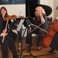 Sterling Strings of Shenango - Classical Duo in New Castle, Pennsylvania