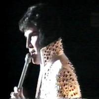 Stile of Elvis - Pop Singer in Memphis, Tennessee