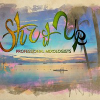 Stir it Up: Professional Mixologists - Bartender in Atlanta, Georgia