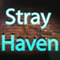 Stray Haven - Rock Band in Binghamton, New York