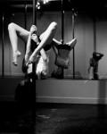 Pole Art Pole Art