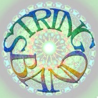 String Band - Tribute Bands in Norwalk, Connecticut