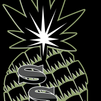 Suite Staffing Services - Event Security Services in , 