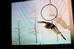 Aerial Hoop